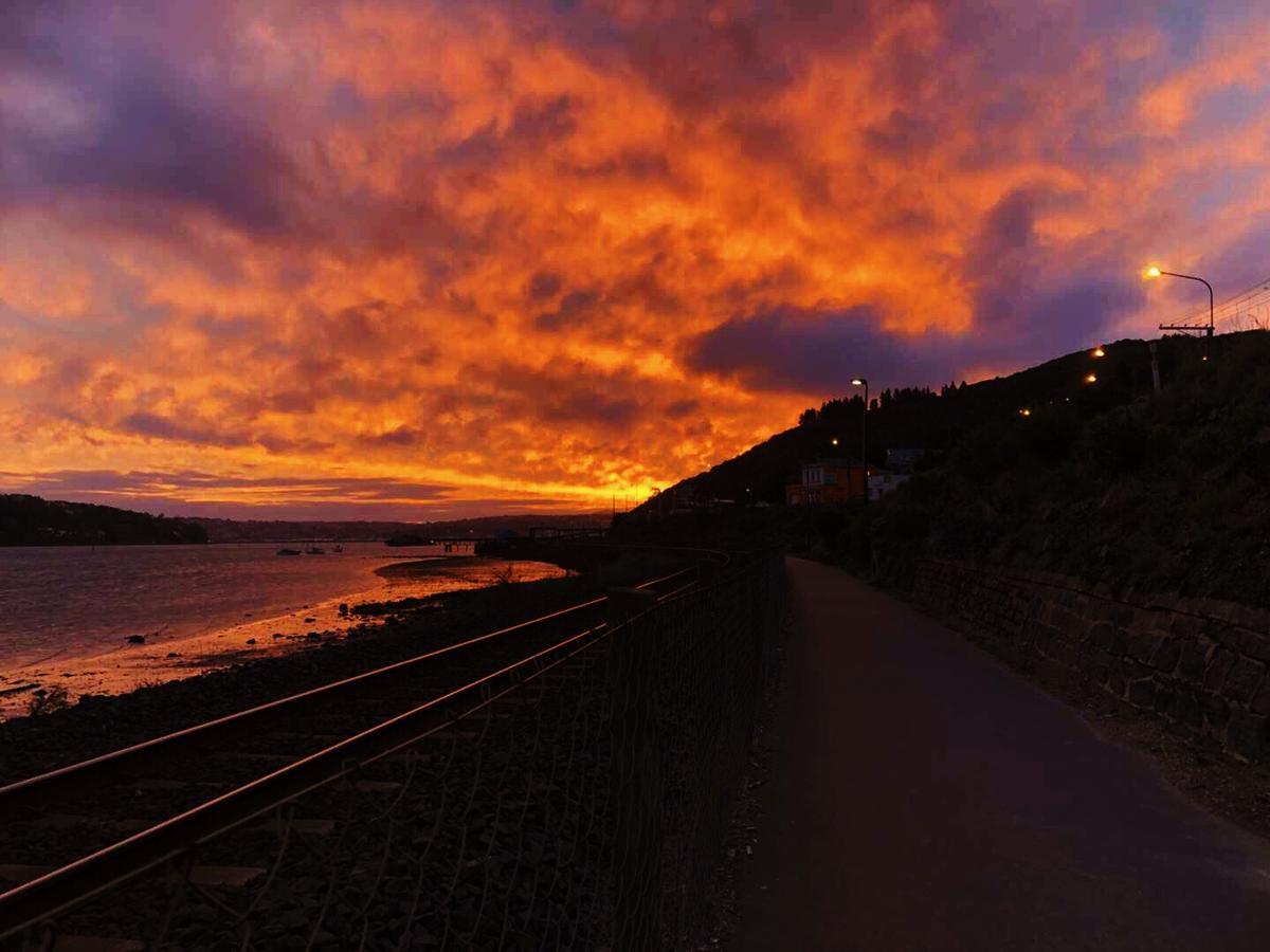 Harbourview Stadium Hotel Dunedin Buitenkant foto