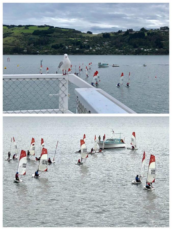 Harbourview Stadium Hotel Dunedin Buitenkant foto